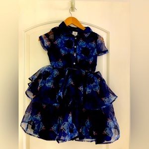 Fancy Cinderella Dress